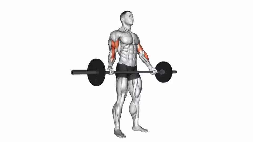 Thumbnail for the video of exercise: Standing Wide Grip Biceps Curl