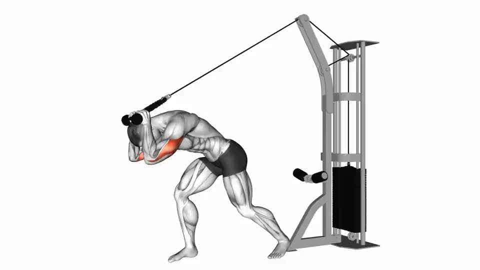 Thumbnail for the video of exercise: Cable Rope High Pulley Overhead Tricep Extension