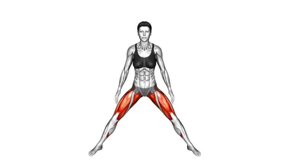 Abduction Of One Leg Flexion Stretch - Video Guide