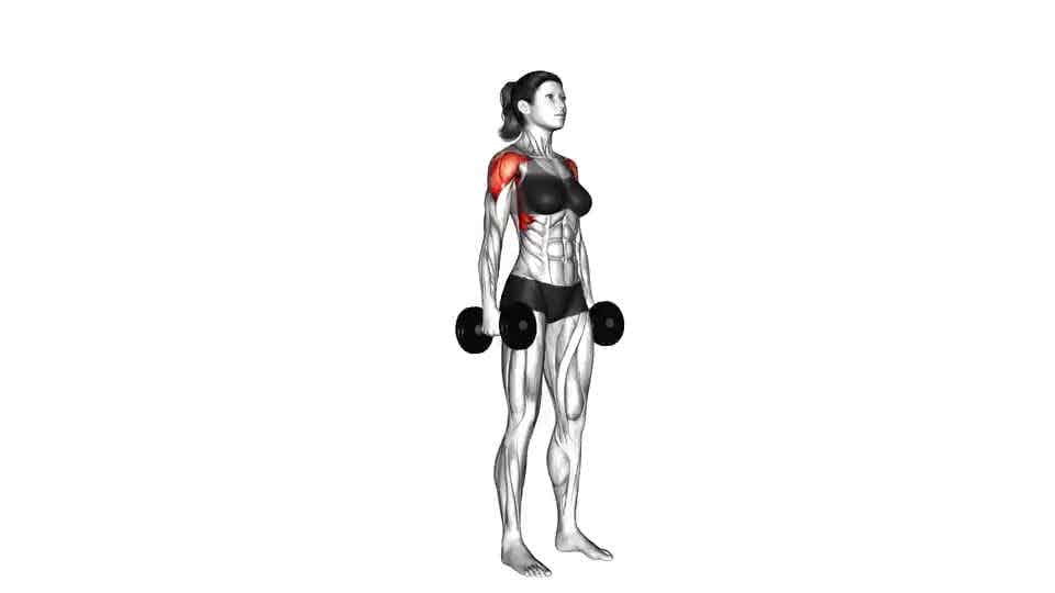 Thumbnail for the video of exercise: Dumbbell Standing Lateral Raise