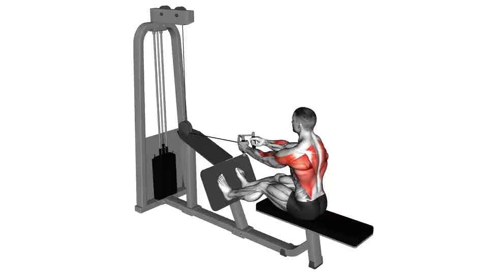 Cable seated row - Video Guide