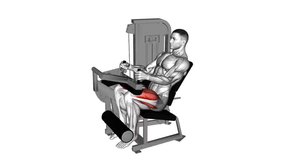 Thumbnail for the video of exercise: Lever Seated Leg Extension