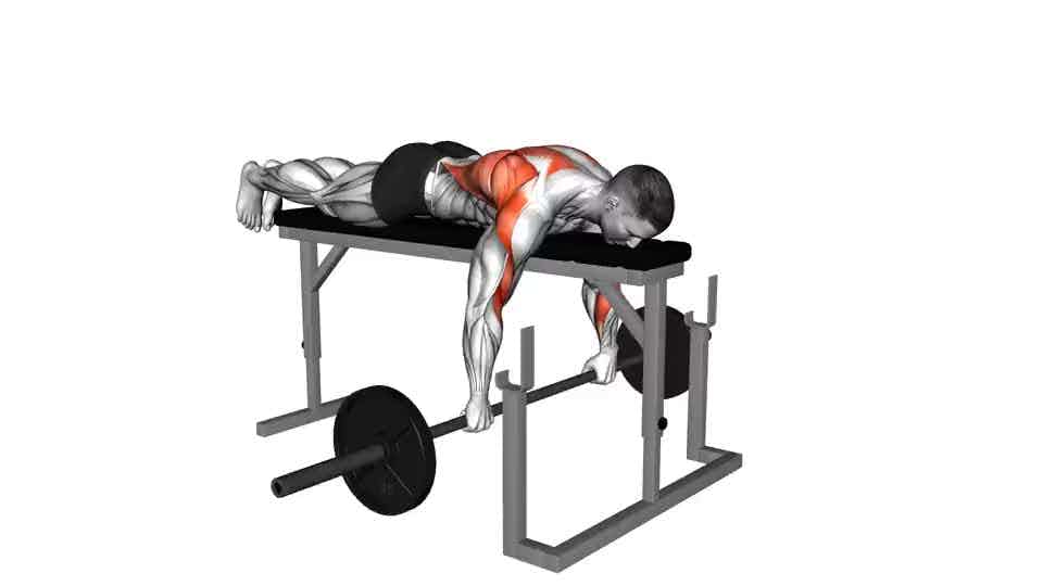 Thumbnail for the video of exercise: Barbell Lying Row on Rack