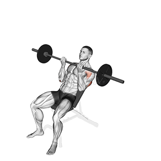 Thumbnail for the video of exercise: Жим штанги обратным хватом на наклонной скамье