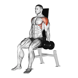 Thumbnail for the video of exercise: Seated Lateral Raise