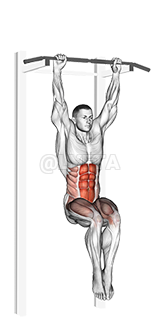 Thumbnail for the video of exercise: Hanging Pike