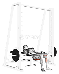 Thumbnail for the video of exercise: Smith lying lift