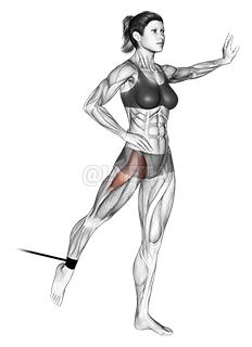 Thumbnail for the video of exercise: Band Standing Leg Raise