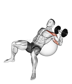 Thumbnail for the video of exercise: Dumbbell Incline One Arm Press on Exercise Ball