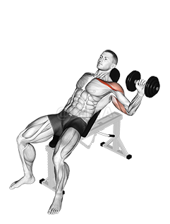 Thumbnail for the video of exercise: Dumbbell One Arm Incline Chest Press