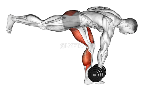 Thumbnail for the video of exercise: Dumbbell RDL Stretch Isometric