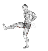 Thumbnail for the video of exercise: Front Back Leg Raises