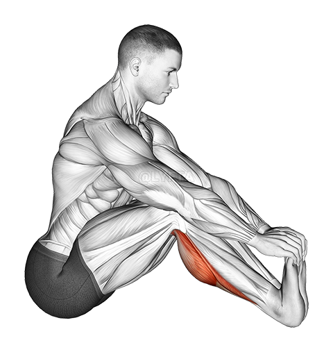 Thumbnail for the video of exercise: მჯდომარე Toe Pull Achilles Stretch