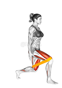 Thumbnail for the video of exercise: Resistance Band Lunge