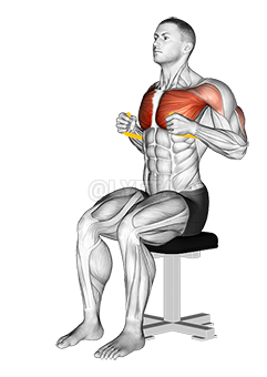 Thumbnail for the video of exercise: Resistance Band Seated Chest Press