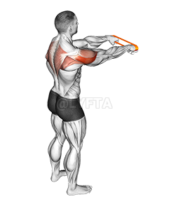 Thumbnail for the video of exercise: Resistance Band Rear Fly