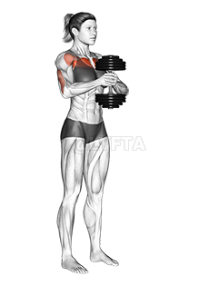 Thumbnail for the video of exercise: Dumbbell Svend Press