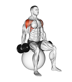 Thumbnail for the video of exercise: Подъем гантели в стороны сидя на мяче-стабилизаторе