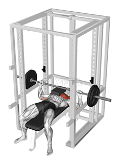Thumbnail for the video of exercise: Barbell Bench Press with 2 board