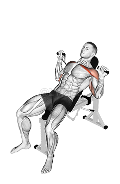 Thumbnail for the video of exercise: Band Incline Bench Press