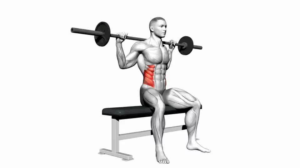 Thumbnail for the video of exercise: Barbell Sittende Draai