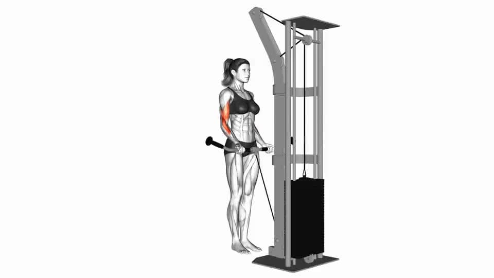 Cable Curl - Video Guide | Lyfta