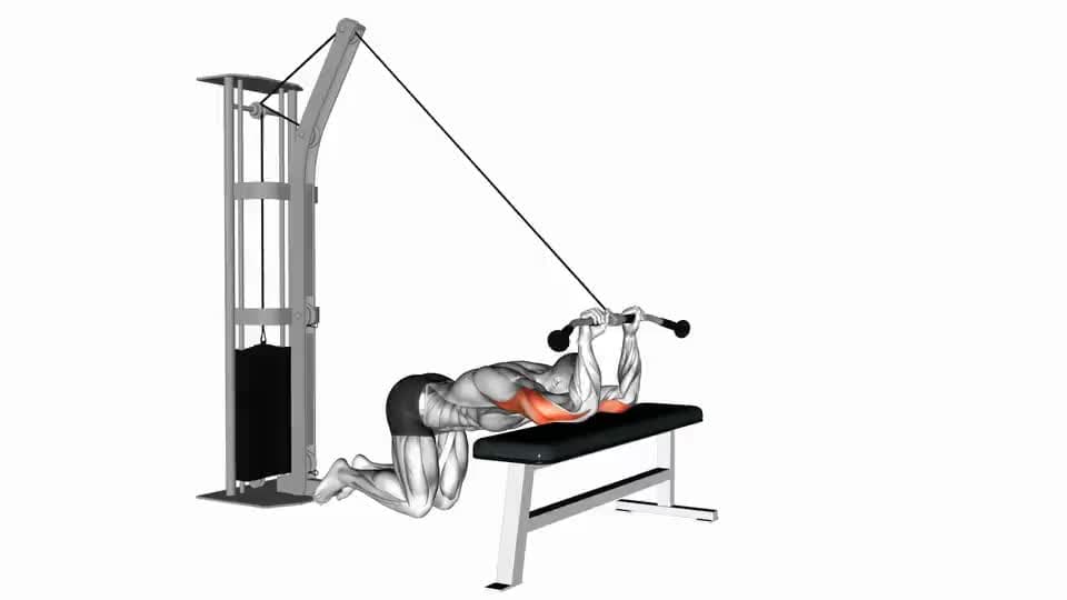 Thumbnail for the video of exercise: घुटना टेक के ट्राइसेप्स एक्सटेंशन होला