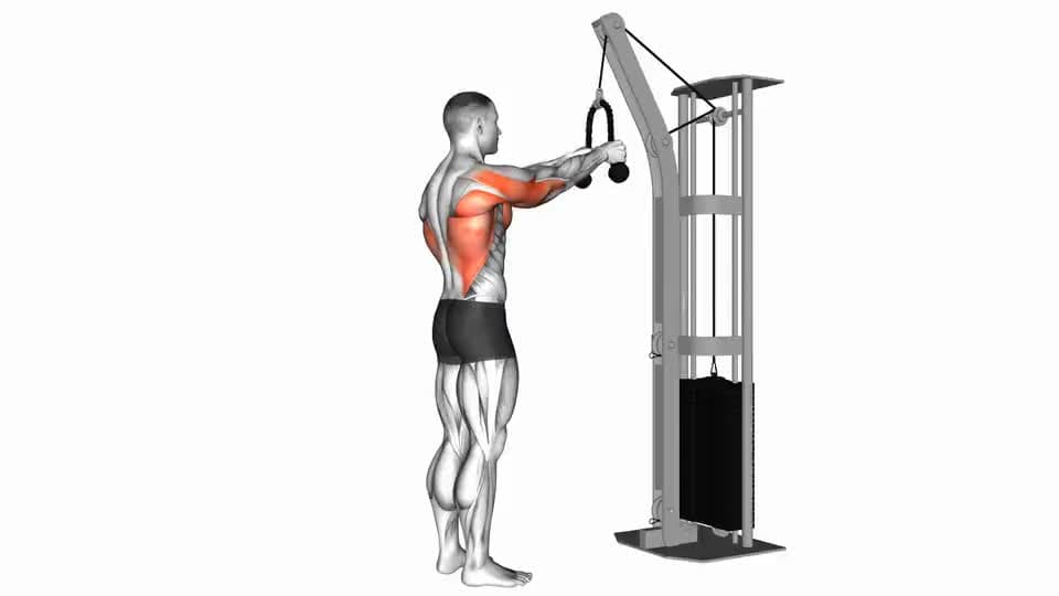 Thumbnail for the video of exercise: Cable Straight Arm Pulldown