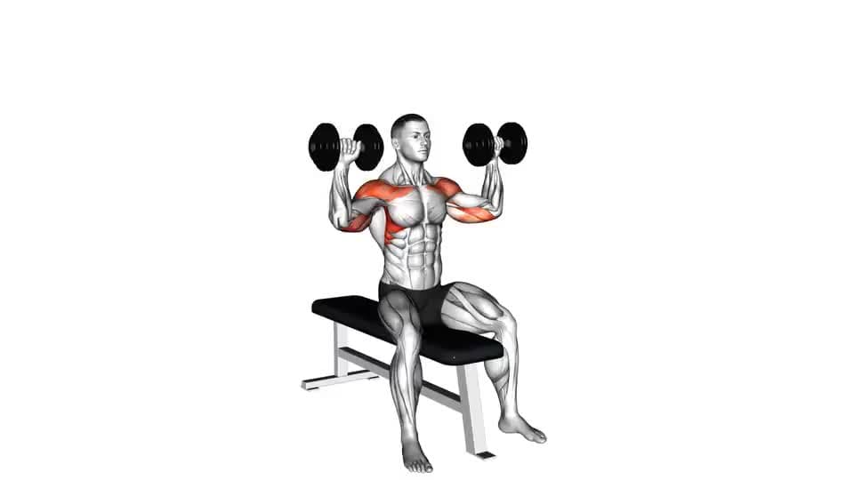 Thumbnail for the video of exercise: Bench Seated Press