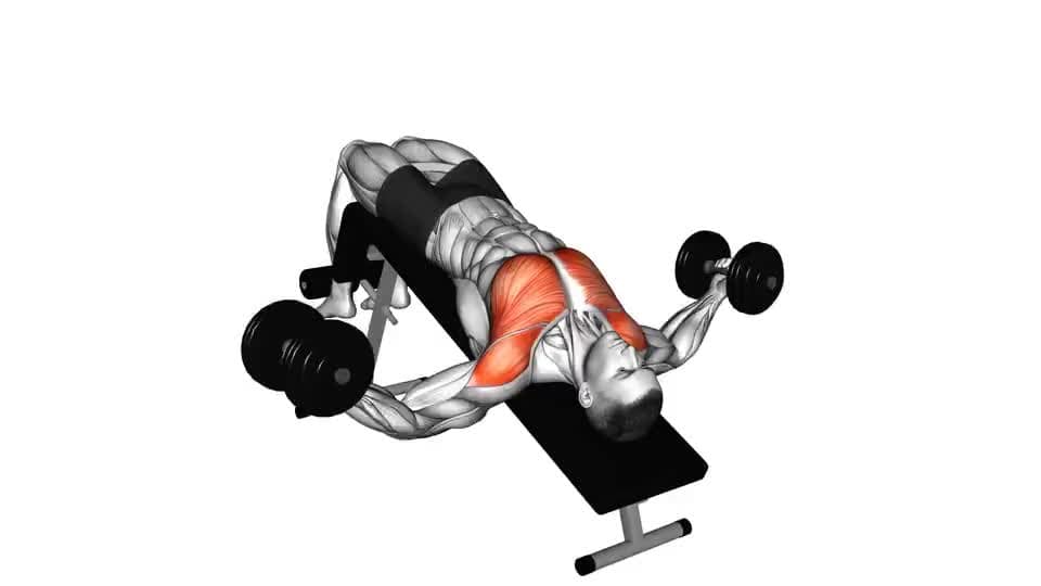 Thumbnail for the video of exercise: ਡੰਬਲ ਡਿਕਲਾਈਨ ਫਲਾਈ