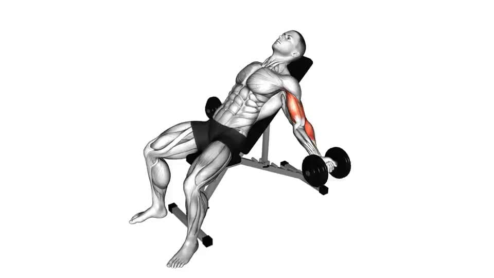 Thumbnail for the video of exercise: Incline Inner Biceps Curl