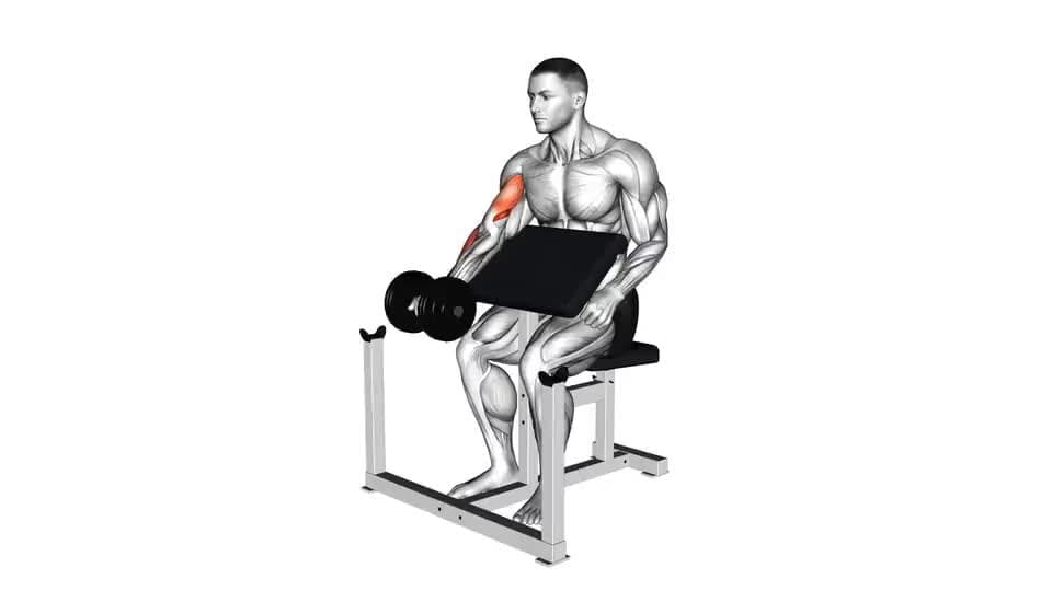 Thumbnail for the video of exercise: Dumbbell Preacher Curl