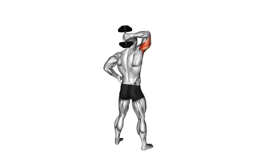 Thumbnail for the video of exercise: Standing One Arm Extension