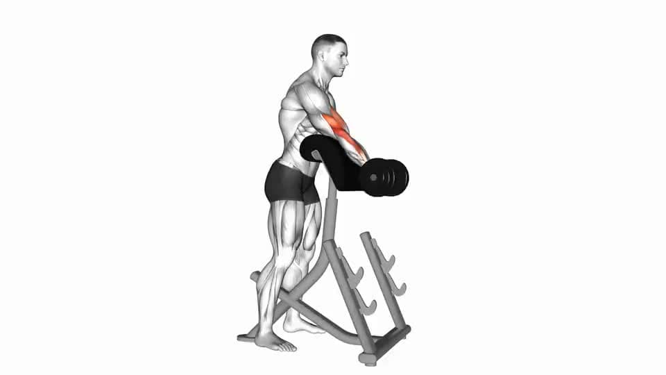 Thumbnail for the video of exercise: Dumbbell Standing Preacher Curl