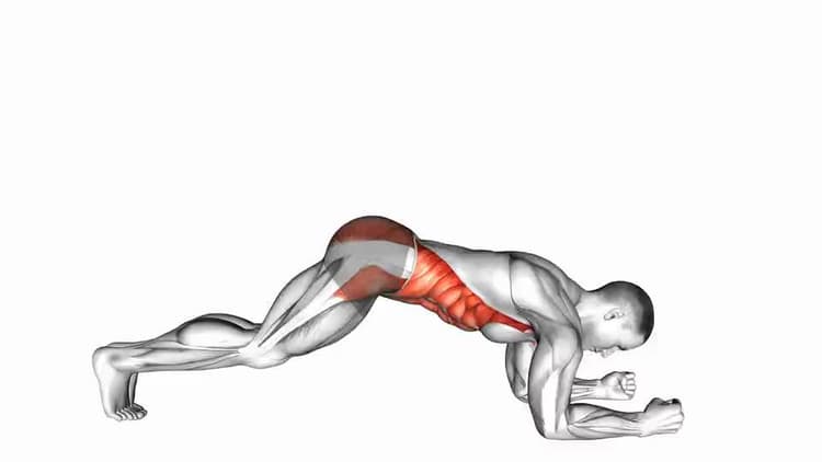 Front Plank - Video Guide | Lyfta