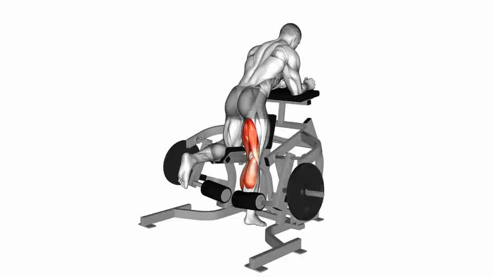 Thumbnail for the video of exercise: Lever Kneeling Leg Curl