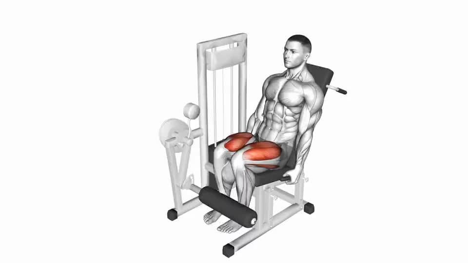 Thumbnail for the video of exercise: Lever Leg Extension