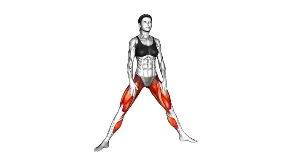 Thumbnail for the video of exercise: Plyo Side Lunge Stretch