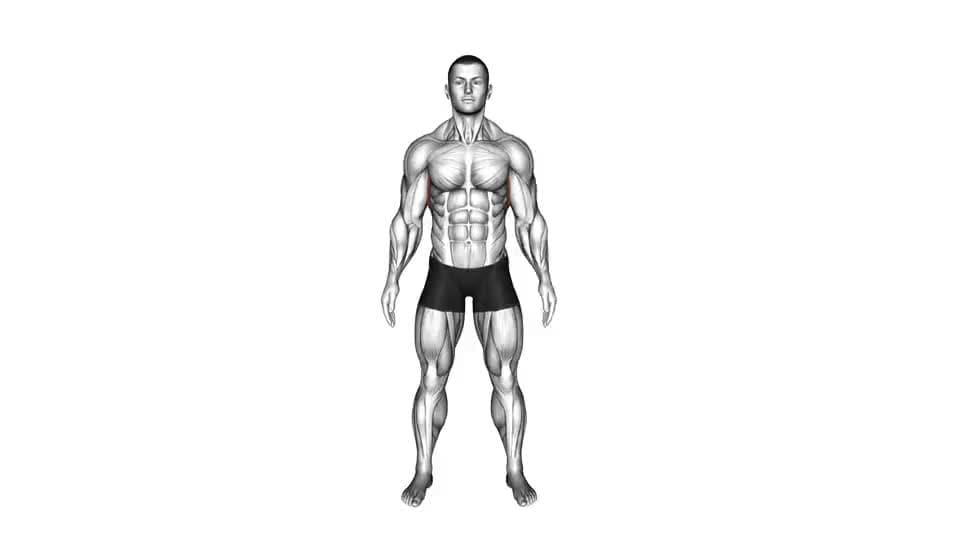 Thumbnail for the video of exercise: Standing Lateral Stretch