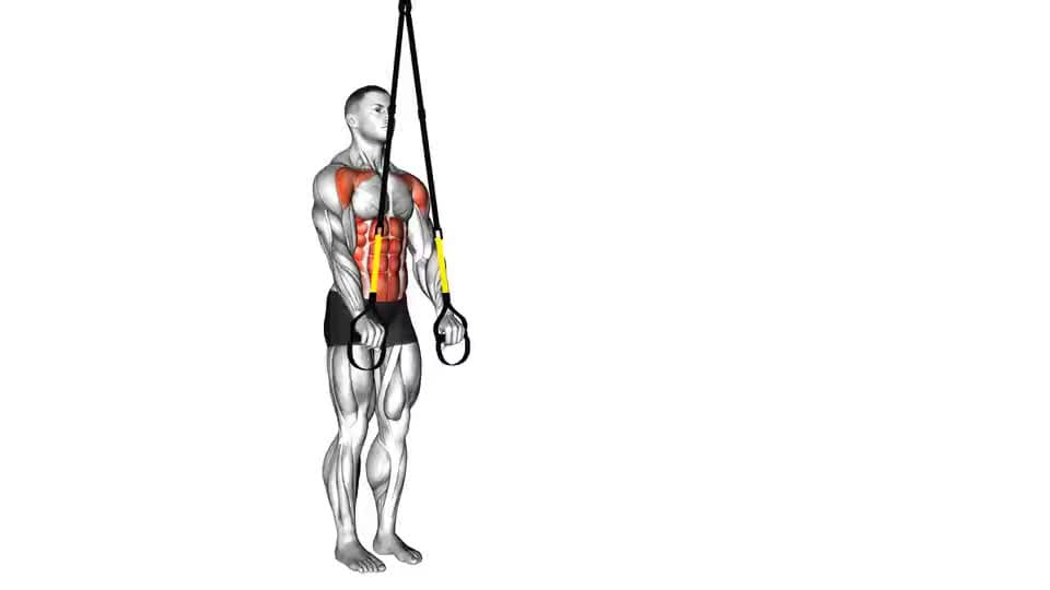 Thumbnail for the video of exercise: Suspended Abdominal Fallout