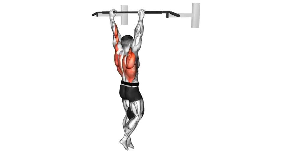 Thumbnail for the video of exercise: Weighted Pull-Up