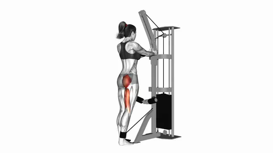 Thumbnail for the video of exercise: Cable standing hip extension
