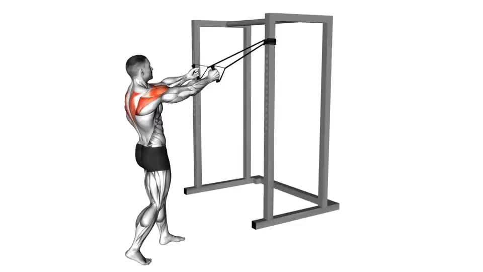 Thumbnail for the video of exercise: Обратна муха на лентата