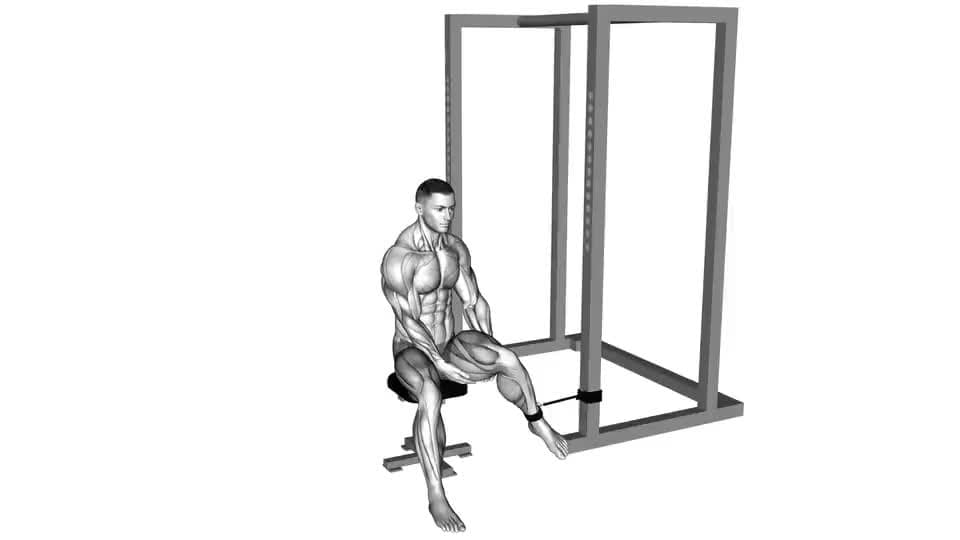 Thumbnail for the video of exercise: Band Sittende Heup Eksterne Rotasie