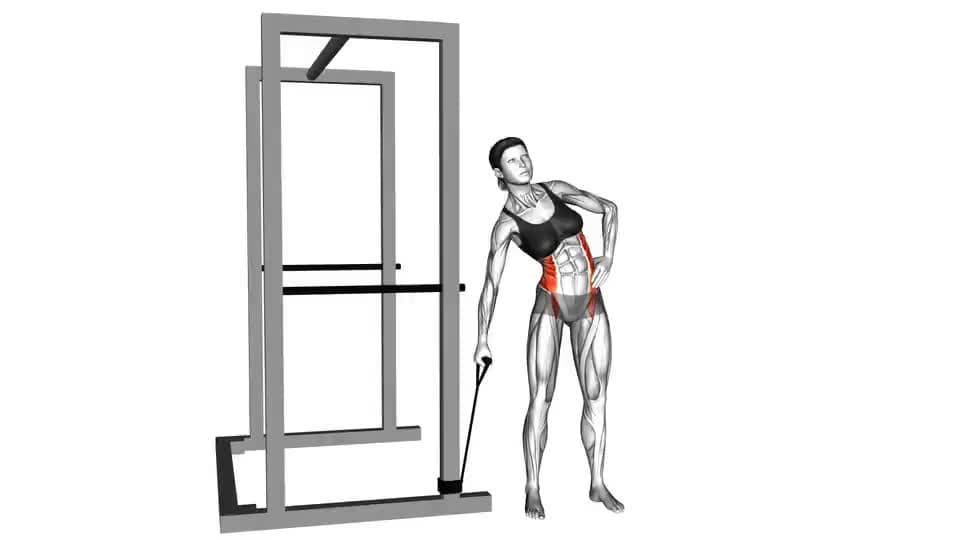 Thumbnail for the video of exercise: बैण्ड साइड मोड़