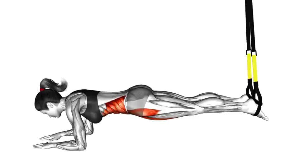 Thumbnail for the video of exercise: Suspension Crunch