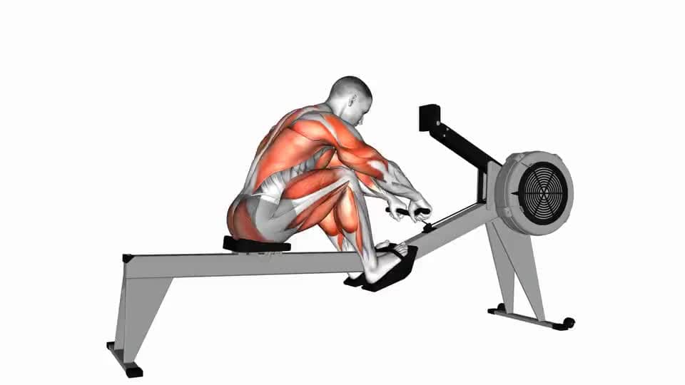 Thumbnail for the video of exercise: Rowing