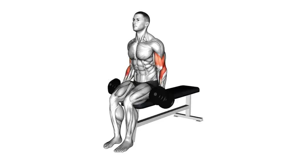 Thumbnail for the video of exercise: Alternate Biceps Curl