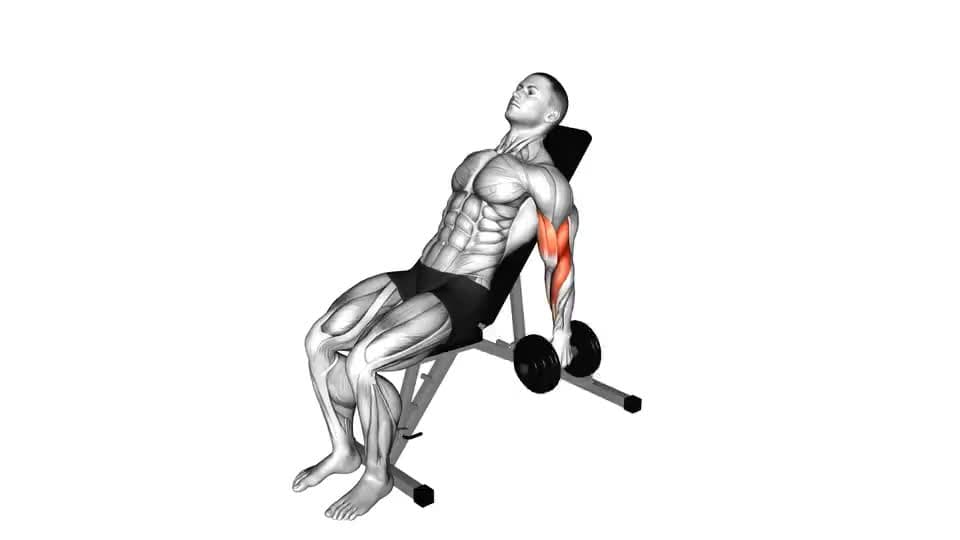 Thumbnail for the video of exercise: Dumbbell Incline Alternate Hammer Curl