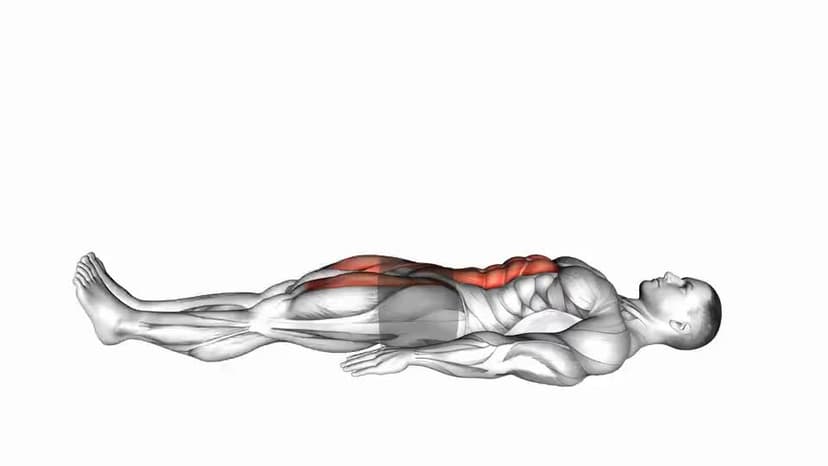 Lying Leg Raise and Hold - Video Guide | Lyfta